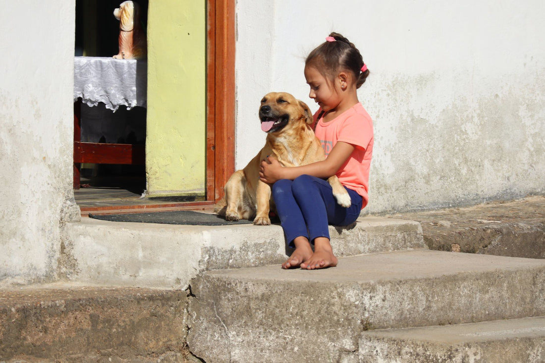 A young girl hugs her happy dog on the steps of a home, enjoying the sunshine.