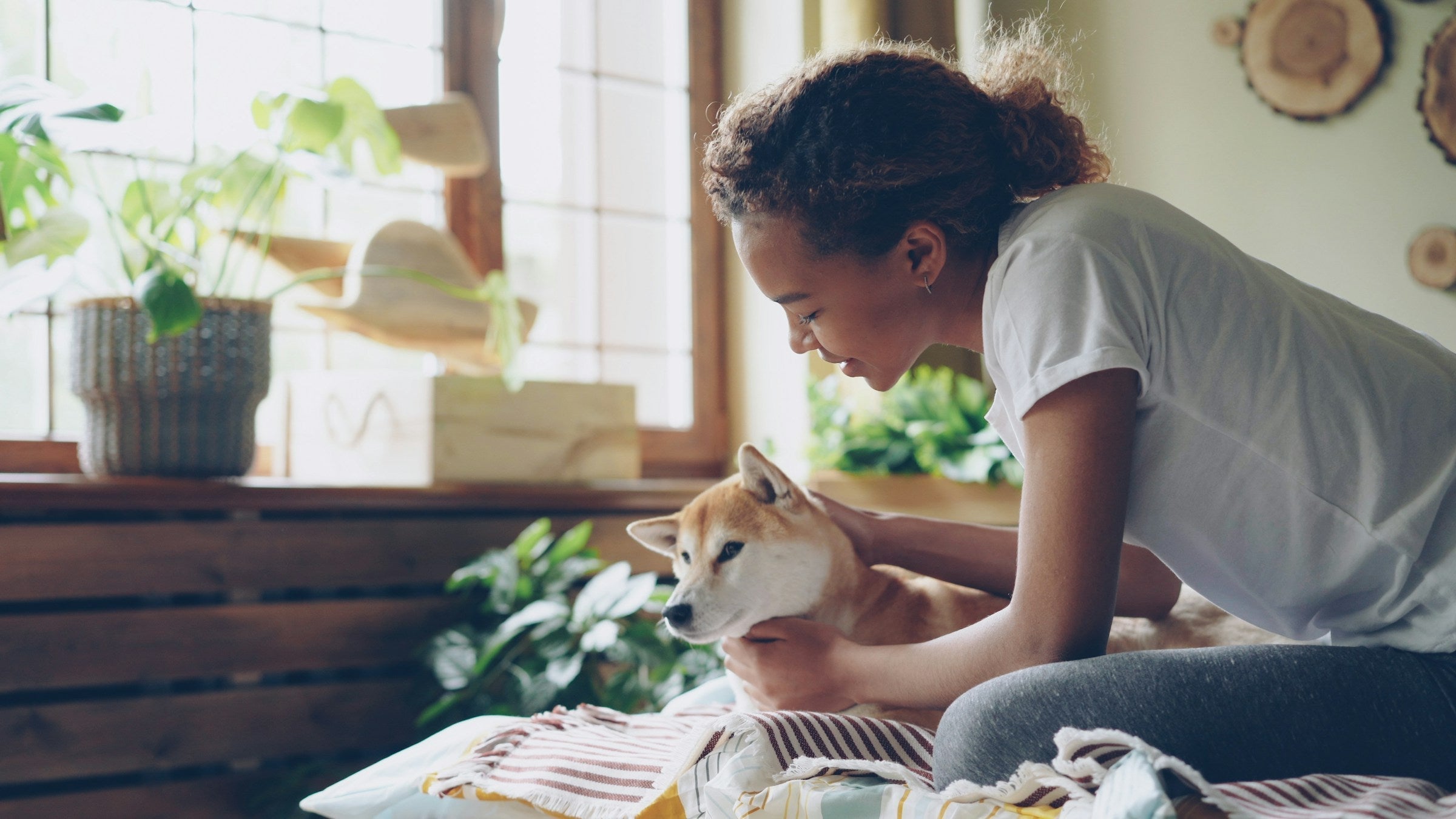 Force-Free vs. Traditional Dog Training: What the Science Actually Says (2026)
