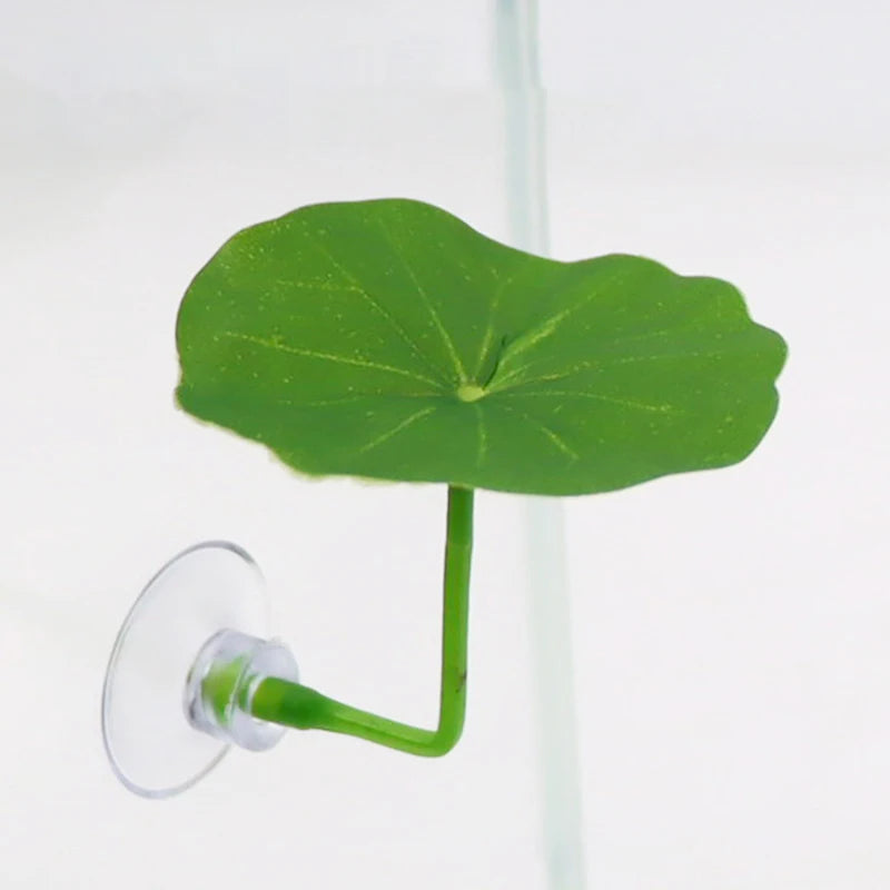 Betta Resting Leaf — Soft Hammock Rest Spot Near the Surface