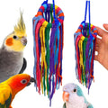 51214 Small Aglet Heaven Cotton Shoelace Toy with Plastic Aglets and 2" Ring for Parakeets Cockatiels Quakers Pionus Small Bird Enrichment