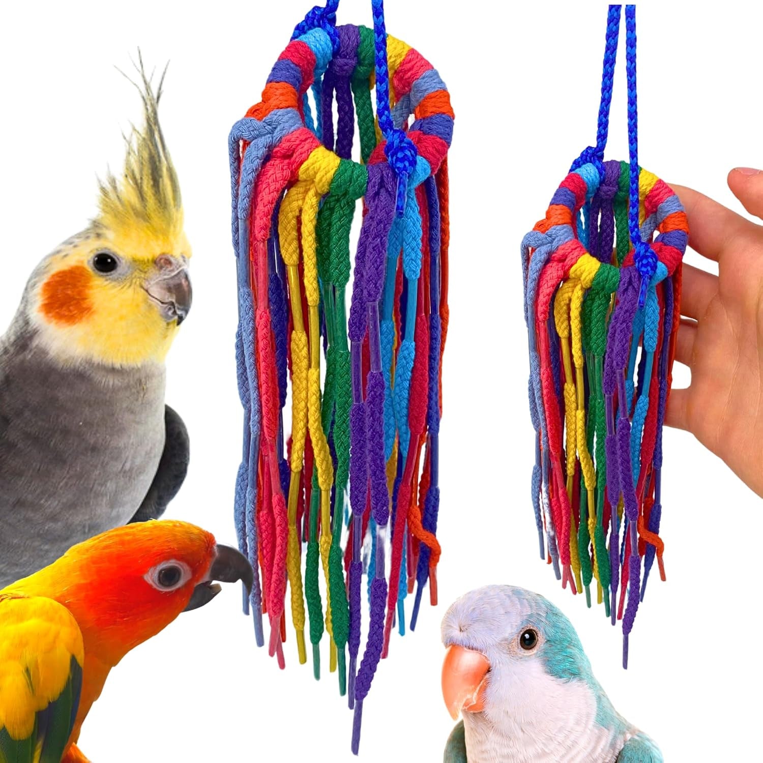51214 Small Aglet Heaven Cotton Shoelace Toy with Plastic Aglets and 2" Ring for Parakeets Cockatiels Quakers Pionus Small Bird Enrichment