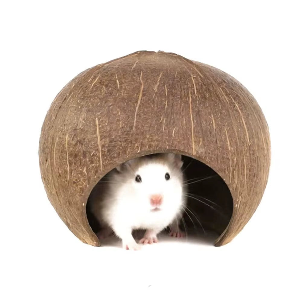Natural Coconut Shell Coconut Shell Hamster Nest Bite-Resistant Small Pet Toy Guinea Pig Hideout Reptile Hide Habitat Hamster
