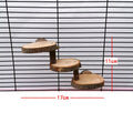 Wooden Step Ladder for Small Pets — 3 or 5 Step Climbing Enrichment