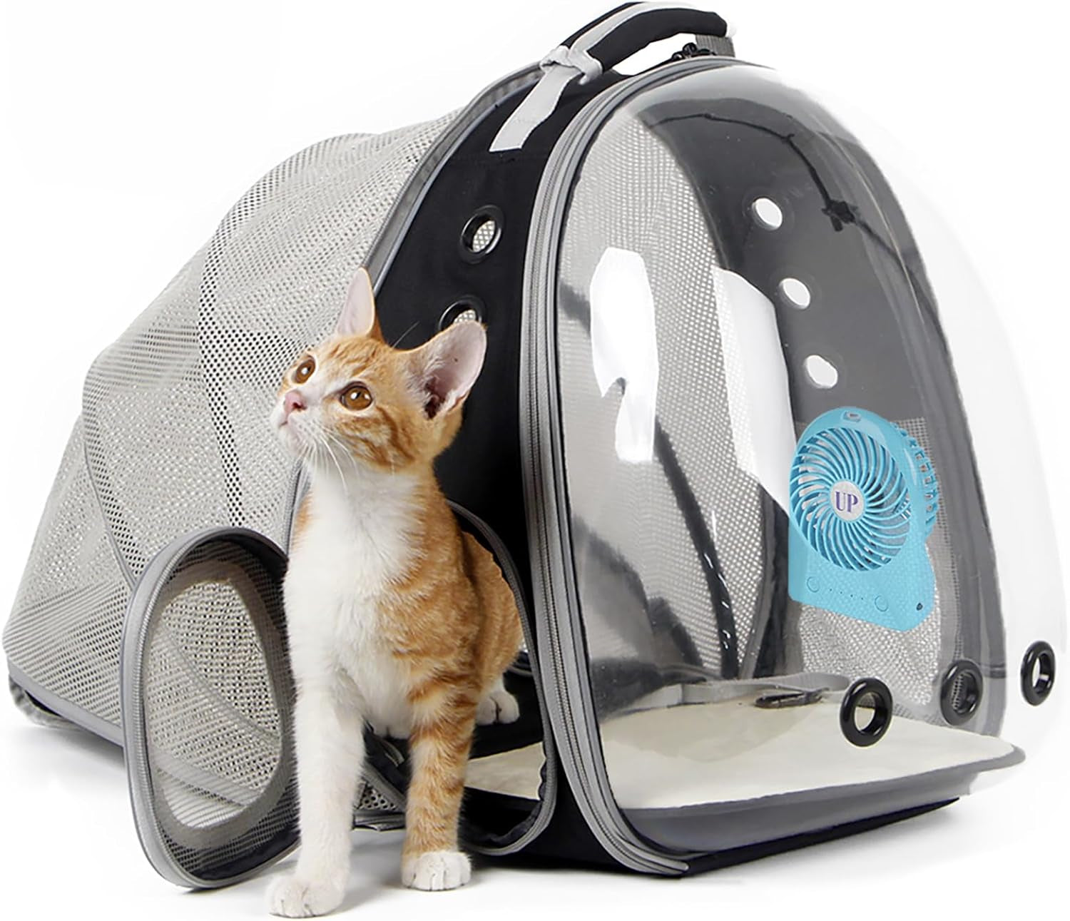 Cat Bubble Backpack Carrier — Space-Capsule Window for Travel & Vet Trips