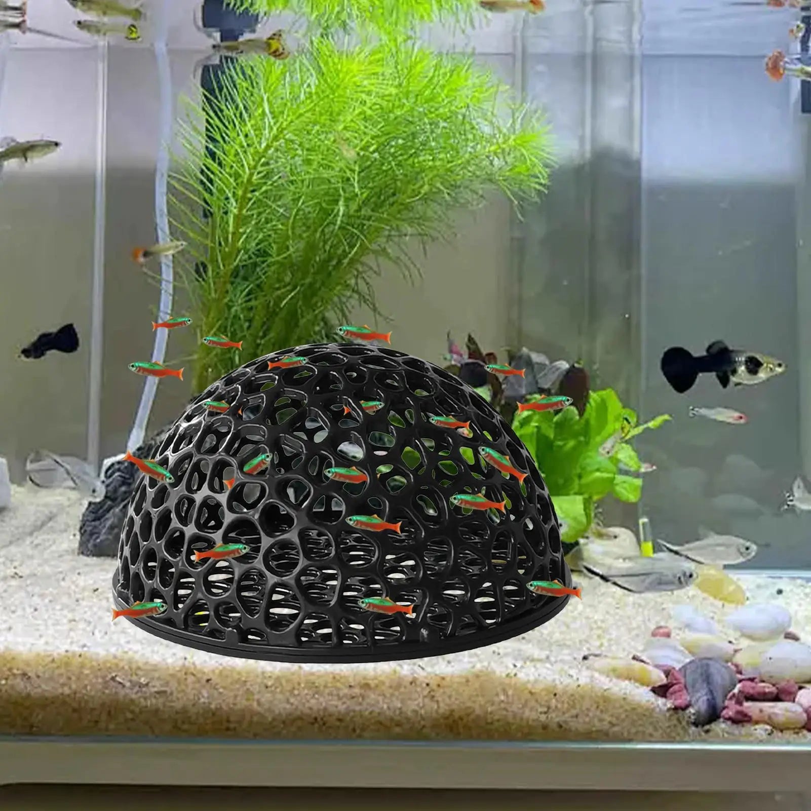 Aquarium Shrimp House Cave Mini Porous Betta House Fish Hiding Spots Shrimp Shelter Shrimp Breeding Nest for Aquatic Decor