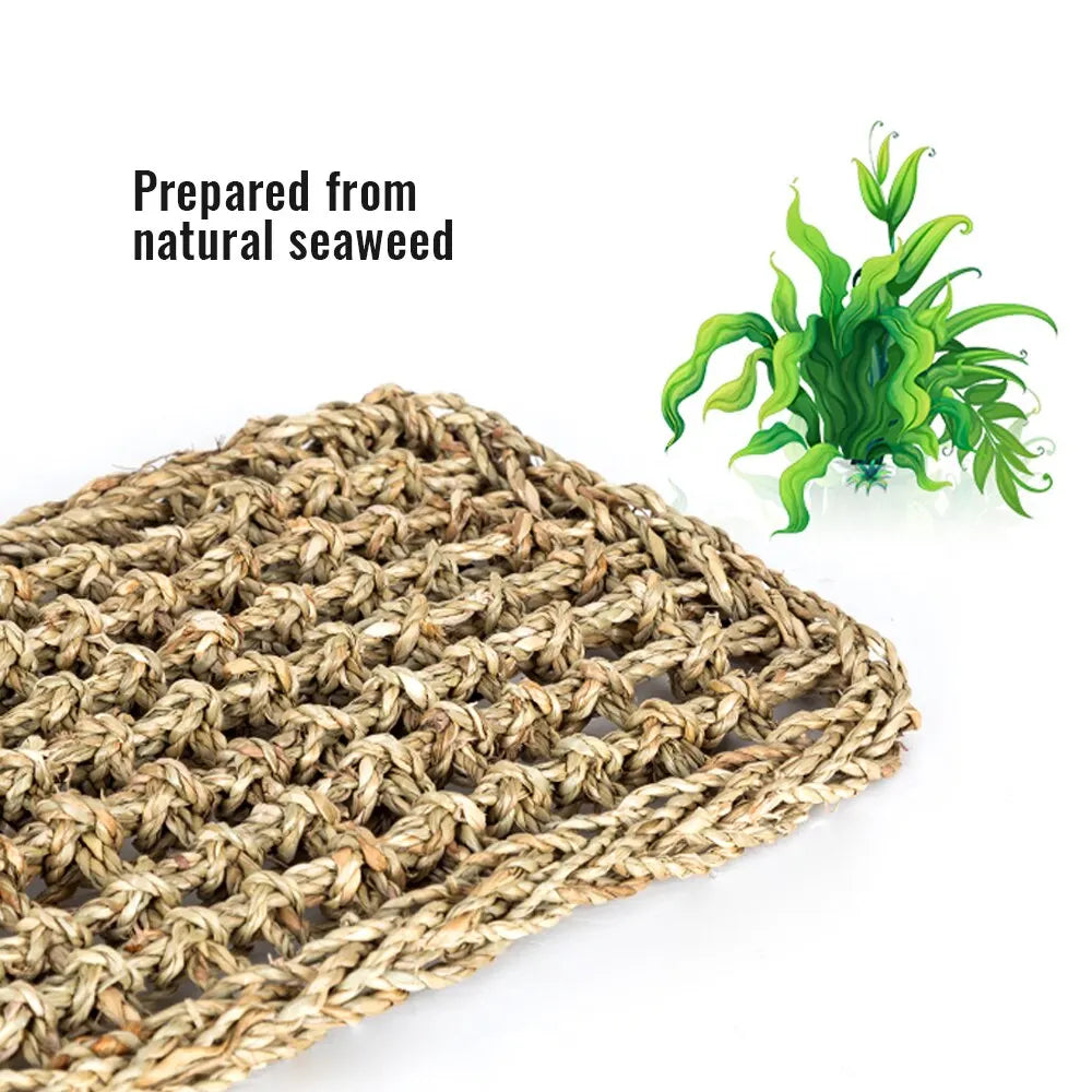 Reptile Hammock Terrarium Decoration for Lizard Lounger Small Hermit Crabs Geckos Bed Birds Reptile Mats Pets Supplies