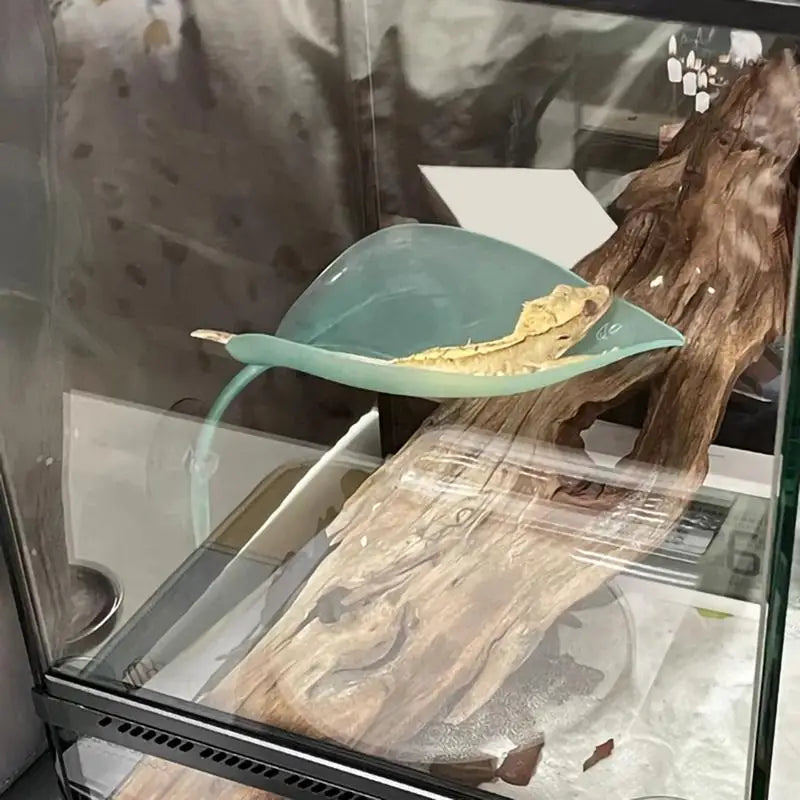 Frog Habitat Leaf Suction Cup Reptile Basking Area Resting Terrace Suction Cups Tank Accessories Simulated Leaves for Geckos