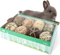 Small Pet Activity Balls — Foraging Play Set for Rabbits & Guinea Pigs