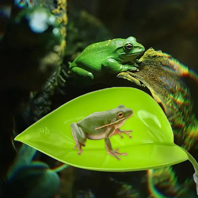 Frog Habitat Leaf Suction Cup Reptile Basking Area Resting Terrace Suction Cups Tank Accessories Simulated Leaves for Geckos